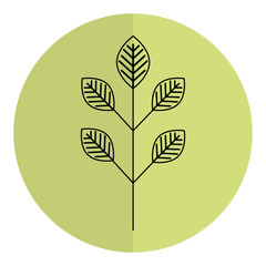 leafs plant ecology icon vector illustration design