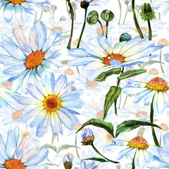Wildflower daisy flower in pattern a watercolor style. Full name of the plant: daisy. Aquarelle wild flower for background, texture, wrapper pattern, frame or border.