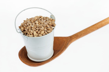 Full bucket of pearl barley grains stands in a wooden spoon.