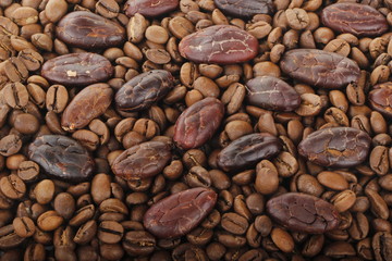 cacao and coffee background