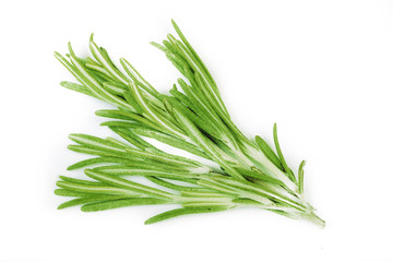 Fototapeta premium rosemary isolated