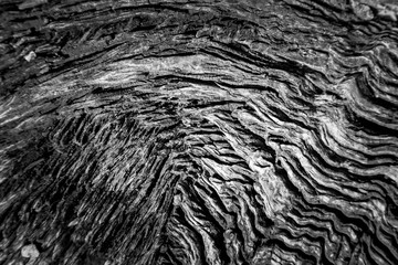 Pattern cracked old wooden background.