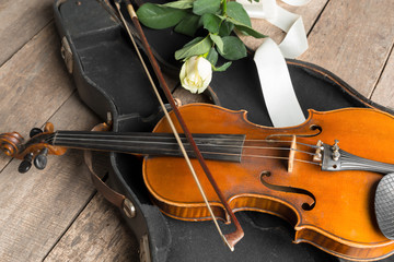 Beautiful violin