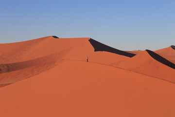 Fototapeta na wymiar Man on sand dune in desert during sunrise. Sossusvlei, Namib Naukluft National Park, Namibia