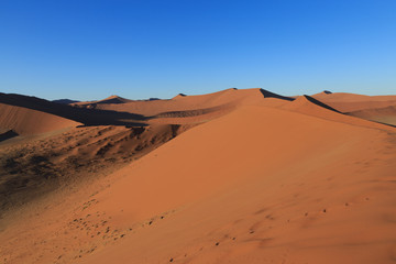 Sand dune in desert during sunrise.  Sossusvlei, Namib Naukluft National Park, Namibia