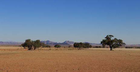 African savanna landscape and sky, Namibia, South of Africa.