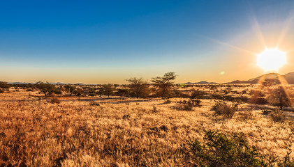 African savanna landscape and sky, Namibia, South of Africa. Real Lens Flare Effect