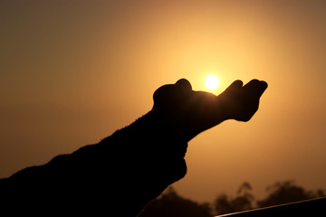 Catch the Sun if you can. A silhouette hang is trying to touch the Sun.