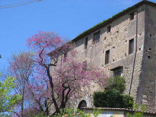 Castello nobiliare ad Isola Farnese nel Lazio in Italia.