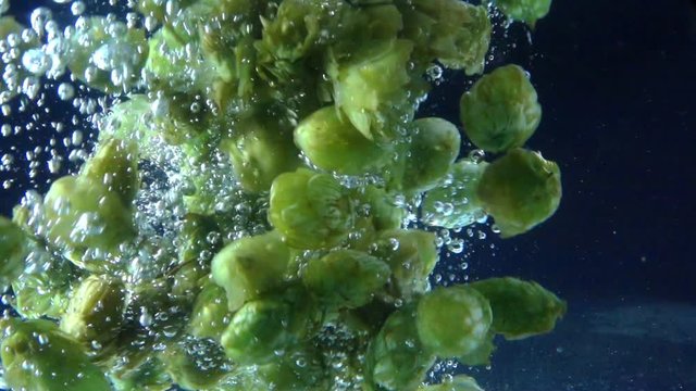 High quality video of hops falling into water in real 1080p slow motion 250fps