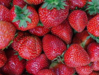 Berries of fresh, ripe, red strawberries scattered in a box.