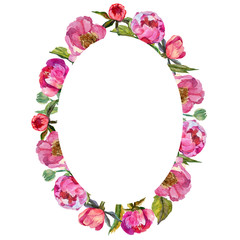 Wildflower peony flower frame in a watercolor style. Full name of the plant: peony. Aquarelle wild flower for background, texture, wrapper pattern, frame or border.