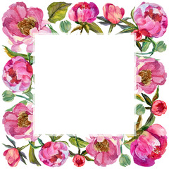Wildflower peony flower frame in a watercolor style. Full name of the plant: peony. Aquarelle wild flower for background, texture, wrapper pattern, frame or border.