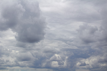 Obraz premium In the sky