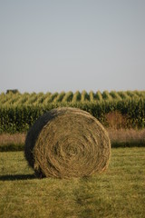 Hay Bale © Steve