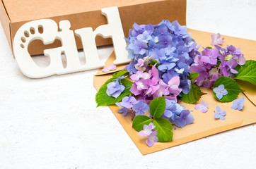 Flowers hydrangeas in an envelope and gift box on a white background with place for text