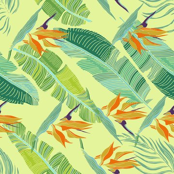Hand Drawn Seamless Background With Banana Leaves And Tropical Flowers.