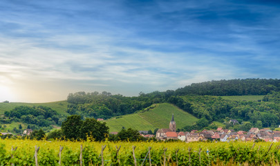 Fototapeta na wymiar Scenic landscape with wooded hills and vineyards