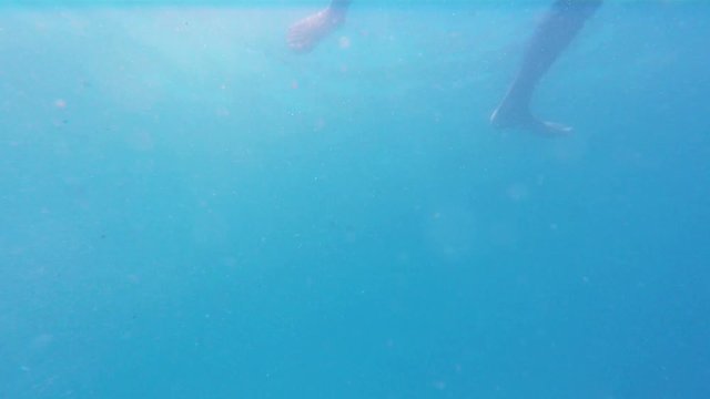 Underwater, Sea and Person, 4k
