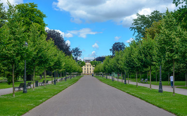 Fototapeta na wymiar Tree-lined avenue leading to a distant building