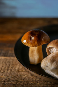 Cep mushrooms on a white background