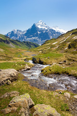 Fototapeta na wymiar A beautful valley in Swiss Alps