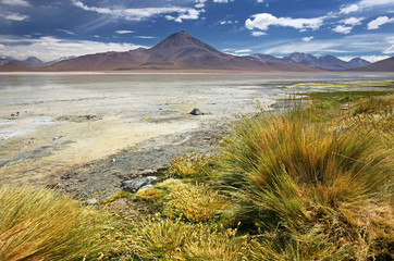 Laguna Blanca at Siloli desert (Bolivia)