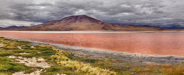Laguna Colorada (Bolivia)