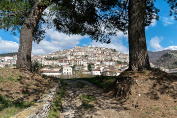 veduta di Padula tra due alberi