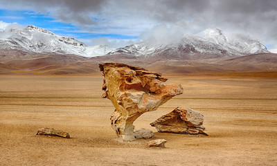 Arbol de Piedra, Siloli desert (bolivia)