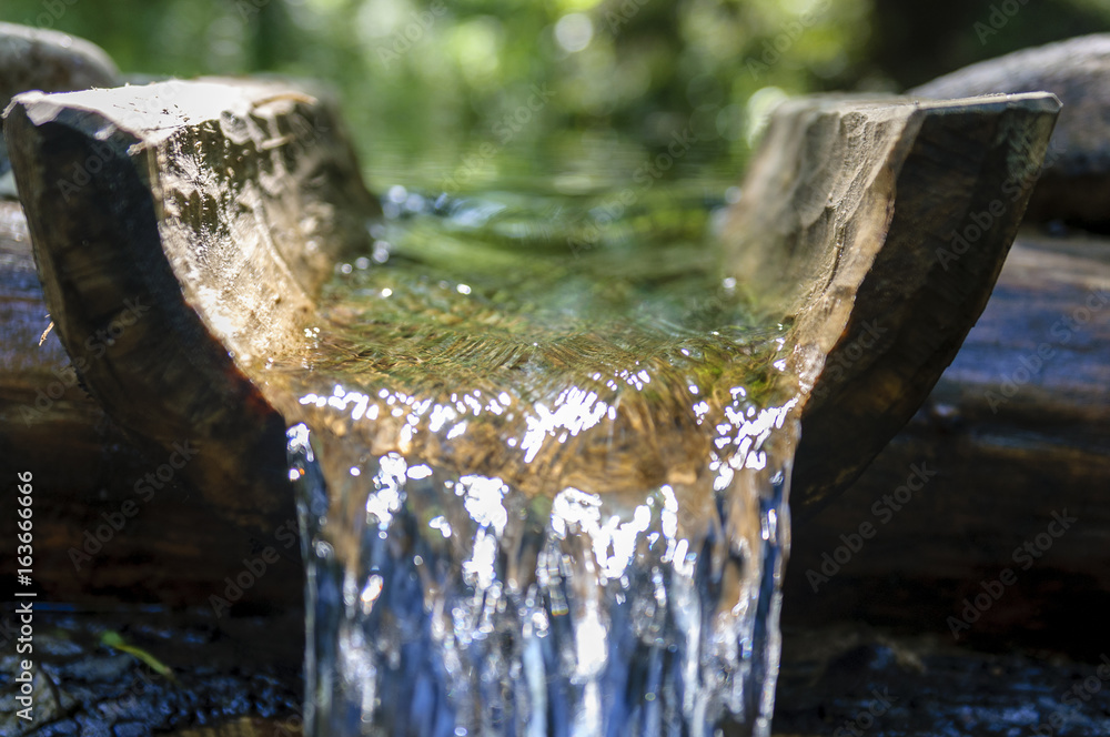 Wall mural water source in the forest macro