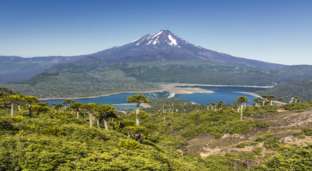 Volcano Llaima at Conguillio N.P. (Chile) - HDR panorama