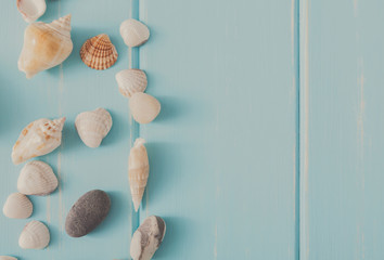 Seashells on blue wood, sea vacation background