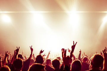 cheering crowd at rock concert in front of bright lights