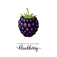 Dark purple blackberry berry flat icon with inscription colorful vector illustration of eco food isolated on white.