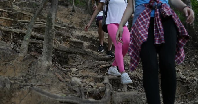 People Group Trekking In Forest Walk Downhill Through Treen Helping Each Other, Friends Tourists On Hike Together Slow Motion 60