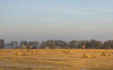 Fototapeta premium Cane Cultivation Houses Giethoorn