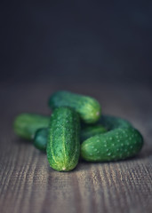 green cucumber on wooden dark background, rustic style, toned, close up