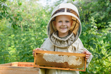 The boy beekeeper holds in his hands a honeycomb with fresh honey. Apiculture. Fresh honey. © kosolovskyy