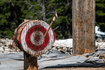 Axe in target