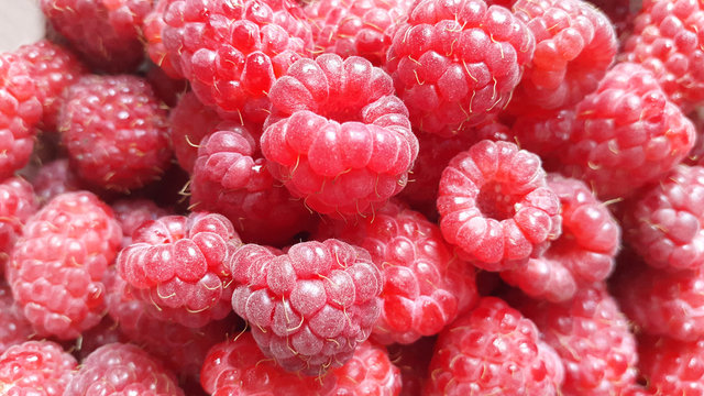 fresh raspberry -  red sweet berries