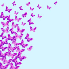 Naklejka na ściany i meble Purple butterflies vector pattern