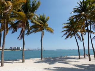 Port de Miami