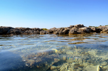 transparent sea