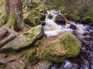 Wyming Brook Waterfalls with Tree Roots Blurred Water and Vibrant Green Mossy Rocks