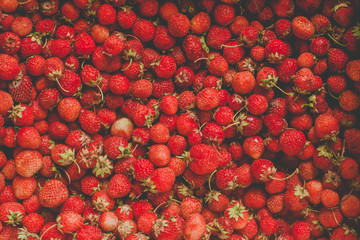 background from freshly harvested strawberries, directly above