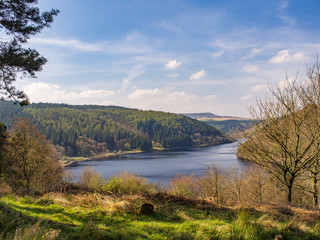 Fototapeta na wymiar Ladybower Resrvoir with Sunlit Grass and Tree Covered Slope in Distance