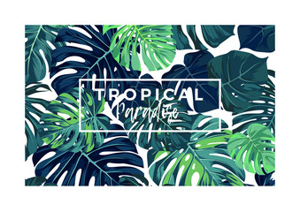 Summer vector tropical postcard design with green monstera palm leaves.