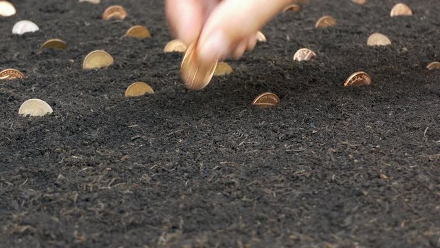 Close up of hand planting coins pennies into the soil evenly in a row. Conceptual clip - business, profit, finance, savings or investment growth