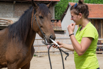 Young veterinarian girl  on a farm giving a medicine to a horse